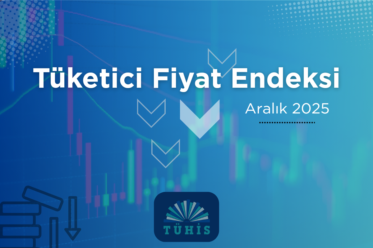 ARALIK 2025 TÜKETİCİ FİYAT ENDEKSİ
