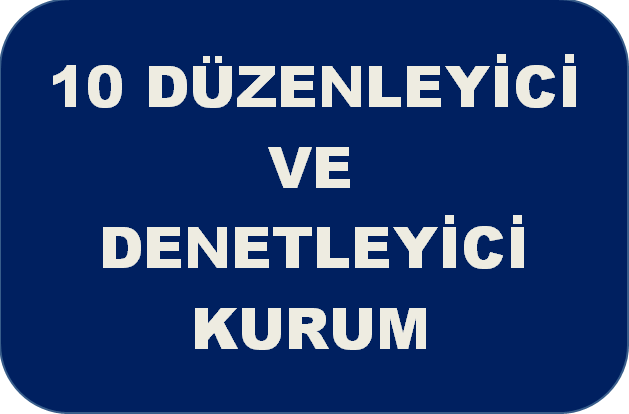 DENETLEYİCİ