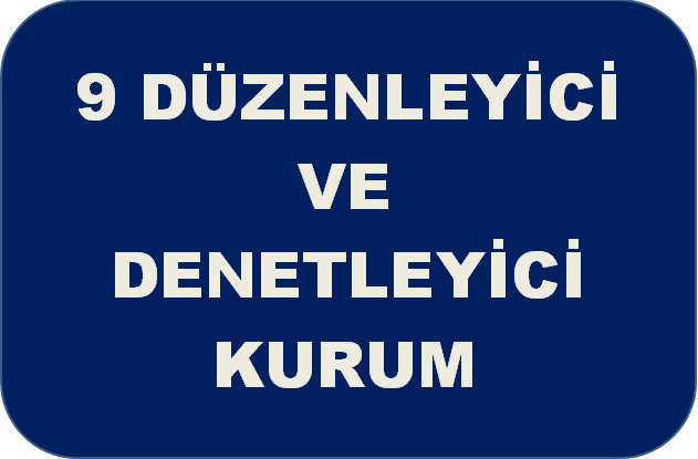 denetleyici düzenleyici